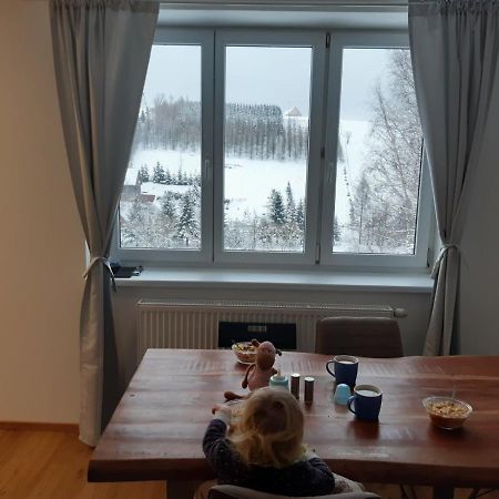 Apartmán u Kunštátského mlýna Orlicke Zahori Exteriér fotografie