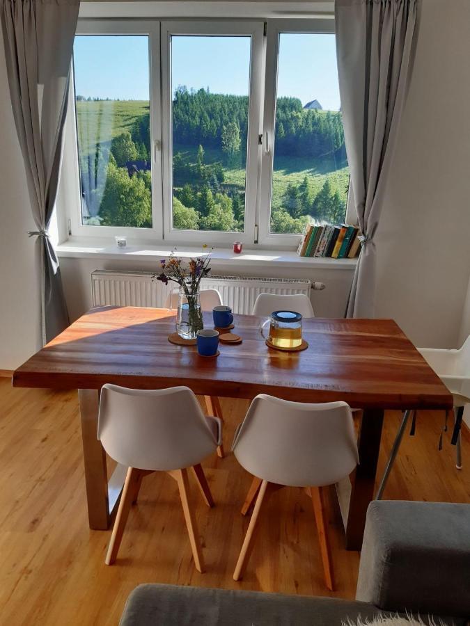 Apartmán u Kunštátského mlýna Orlicke Zahori Exteriér fotografie