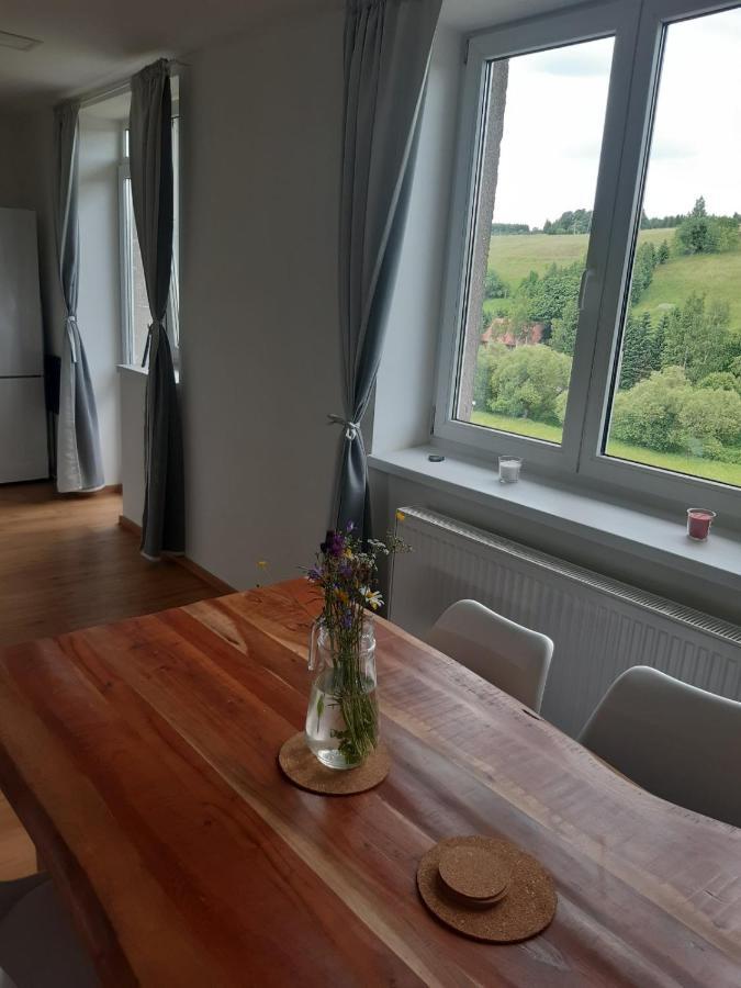 Apartmán u Kunštátského mlýna Orlicke Zahori Exteriér fotografie
