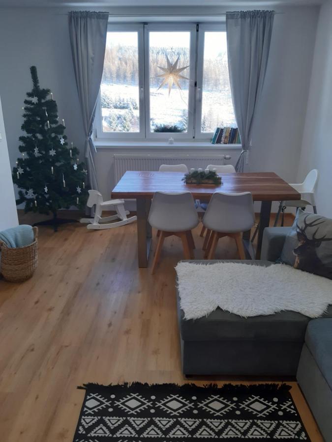 Apartmán u Kunštátského mlýna Orlicke Zahori Exteriér fotografie