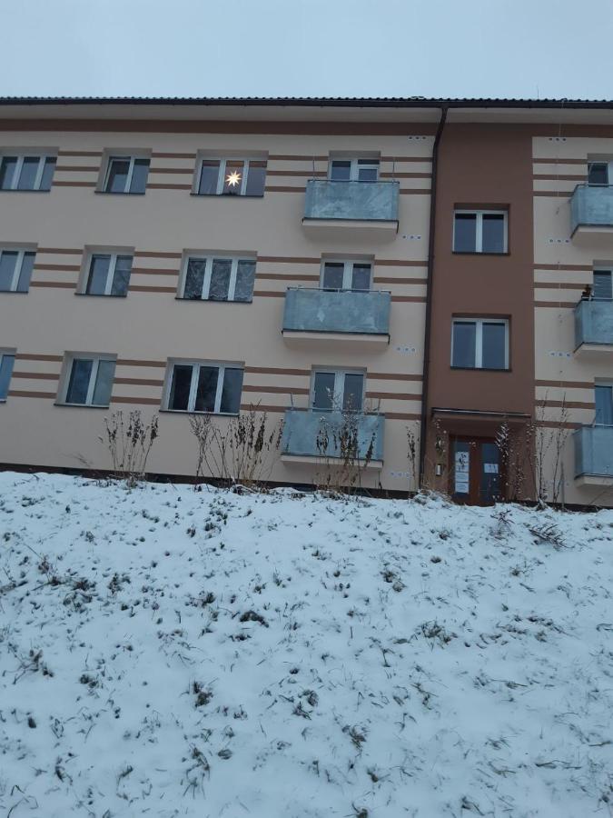 Apartmán u Kunštátského mlýna Orlicke Zahori Exteriér fotografie