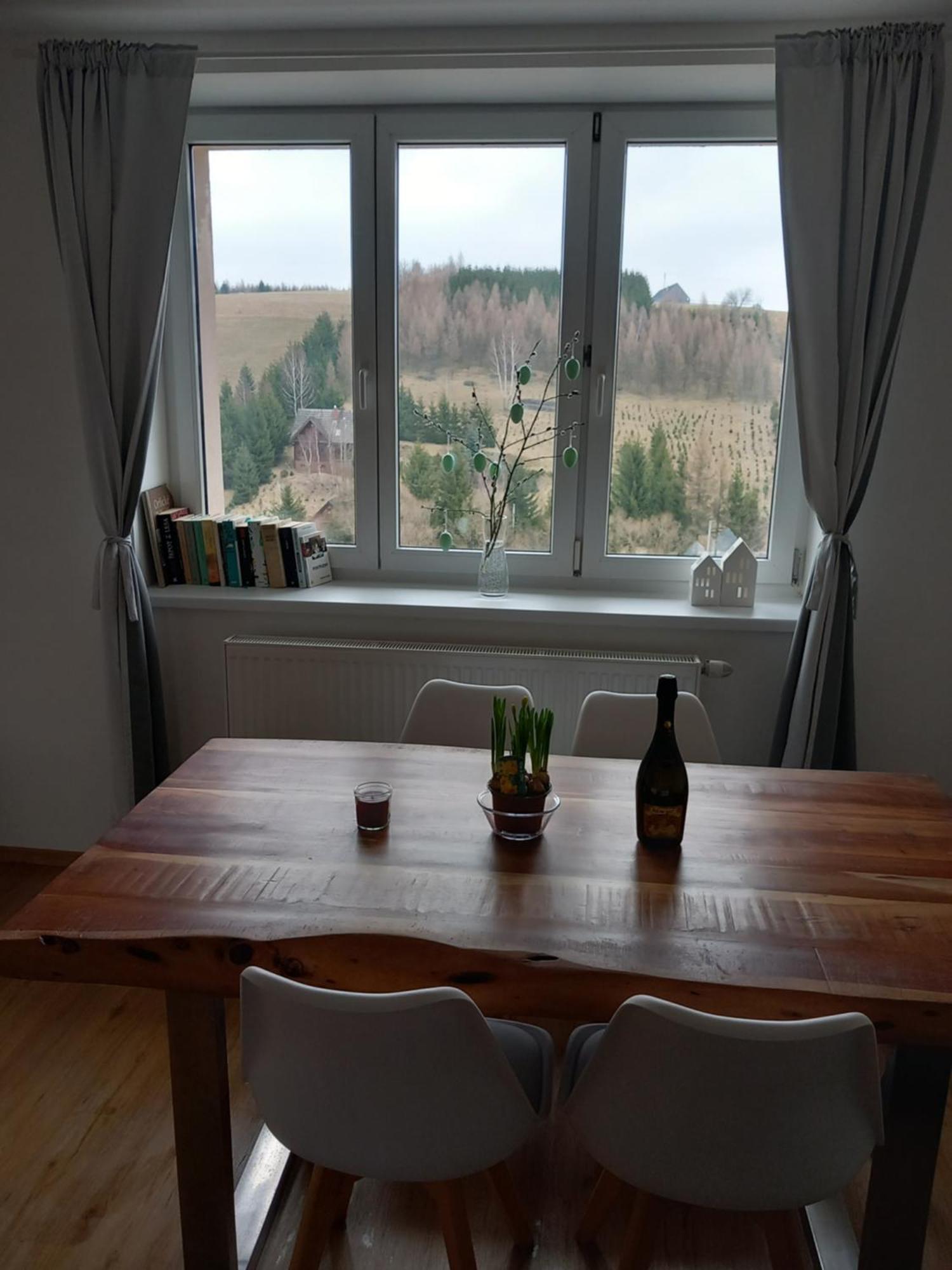 Apartmán u Kunštátského mlýna Orlicke Zahori Exteriér fotografie