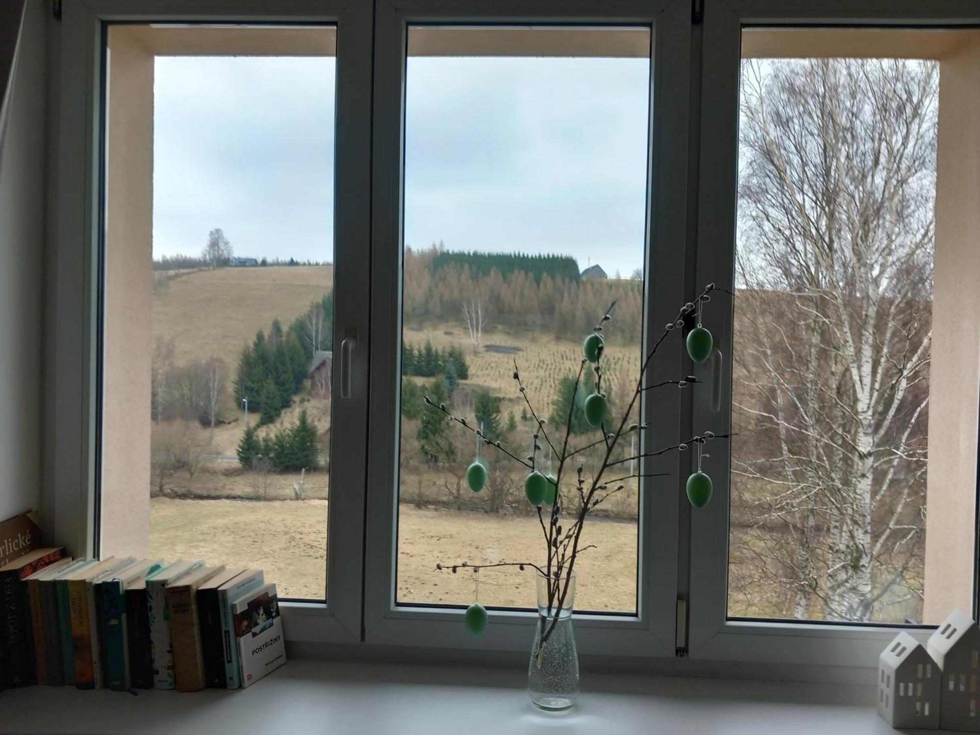 Apartmán u Kunštátského mlýna Orlicke Zahori Exteriér fotografie